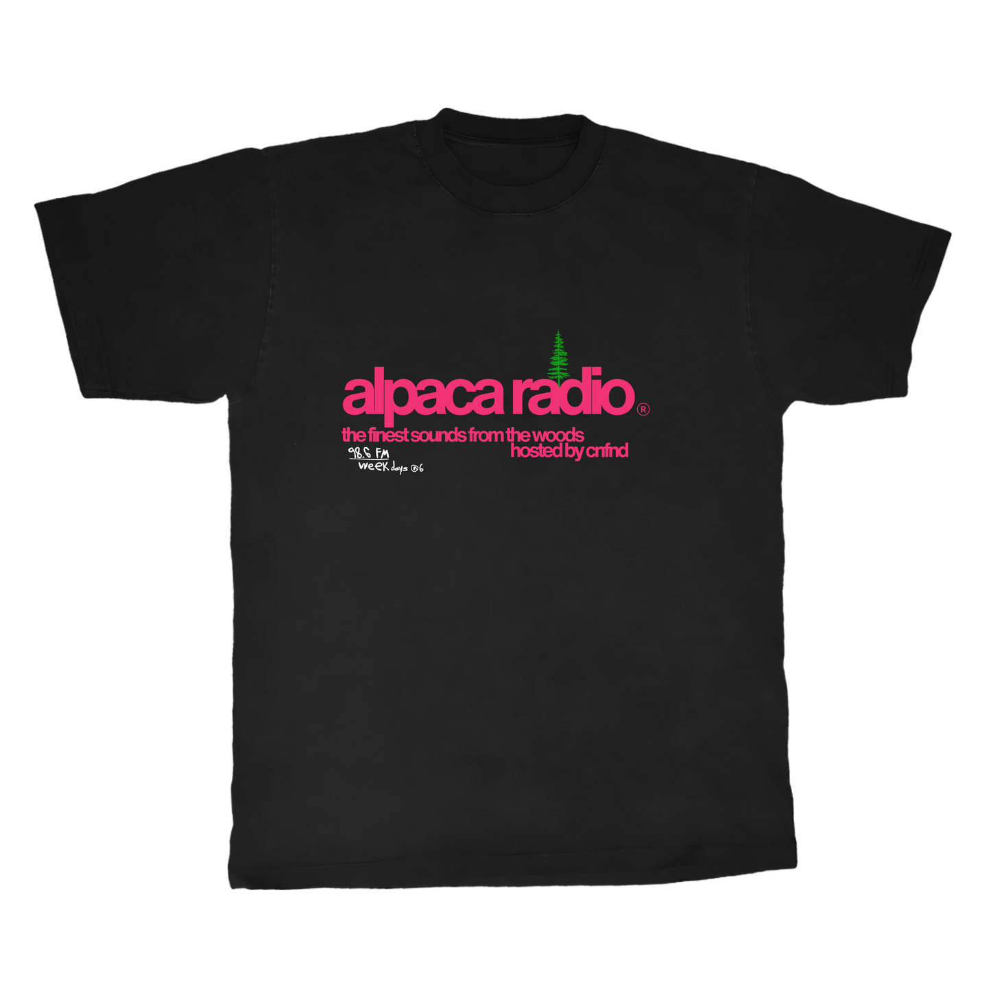 alpaca radio ALPACA tee by scumbag