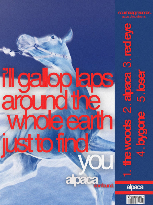 alpaca "horses" poster by scumbag